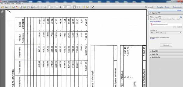 Schermata di apertura di un file PDF con Adobe Reader