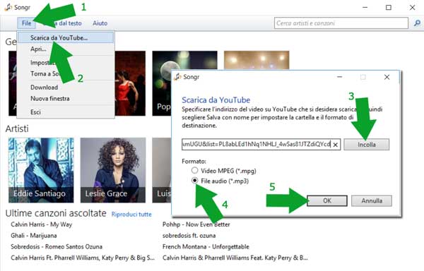 scaricare musica da Youtube Music con songr